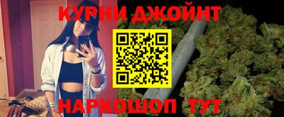 сатива Кандалакша