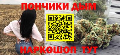 сатива Кандалакша