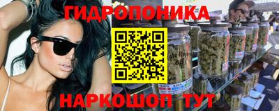 сатива Кандалакша