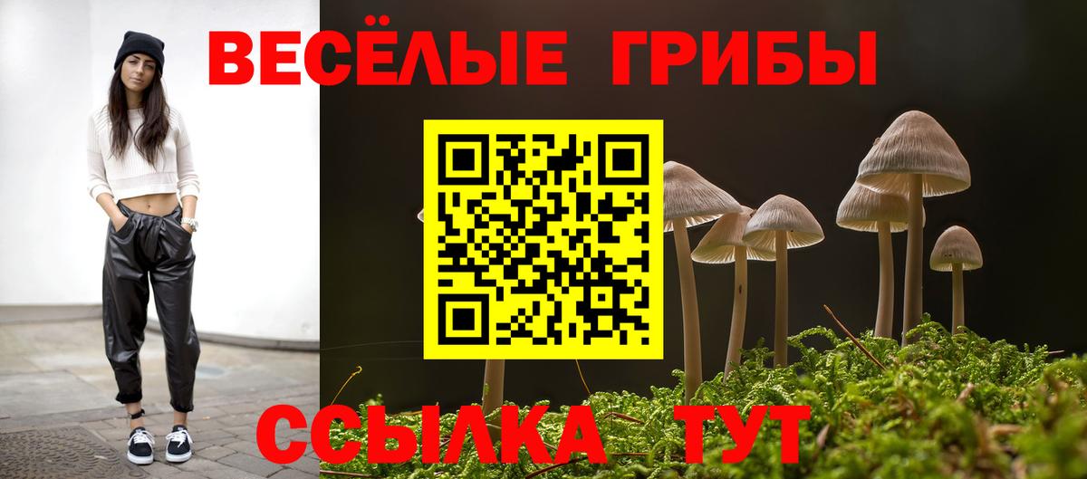 Куйбышев  Псилоцибиновые грибы Magic Shrooms  Вход с VPN 